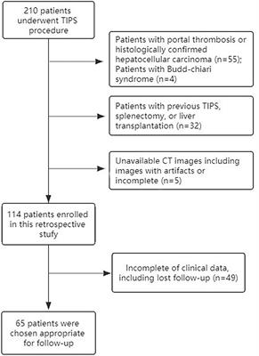 Computed Tomography-Based Texture Features for the Risk Stratification of Portal Hypertension and Prediction of Survival in Patients With Cirrhosis: A Preliminary Study